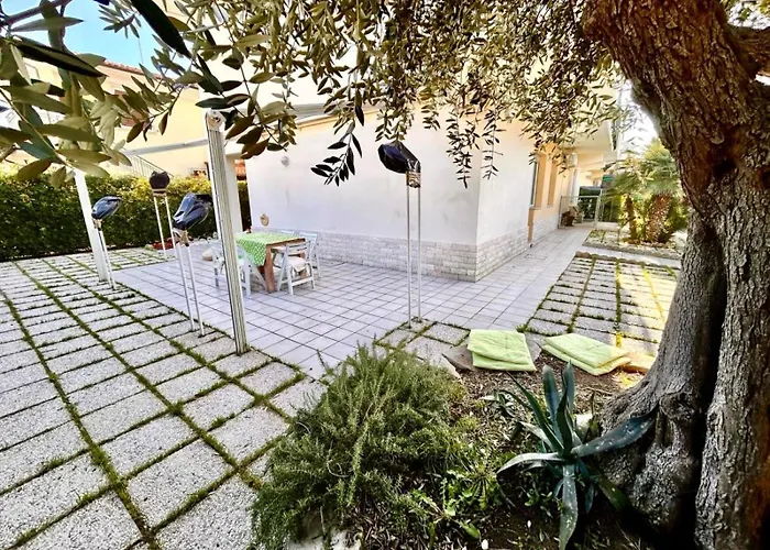 Trilo Marche A Marcelli